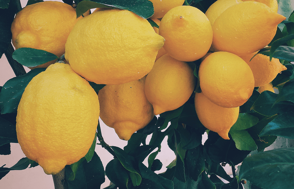 Rädda helgen med fräscha drinkar på limoncello