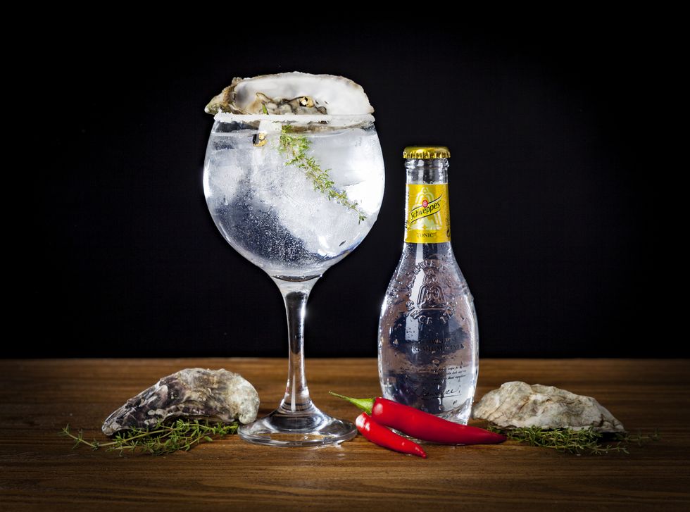 De gör Sveriges bästa Gin & Tonic - här är bästa tipsen