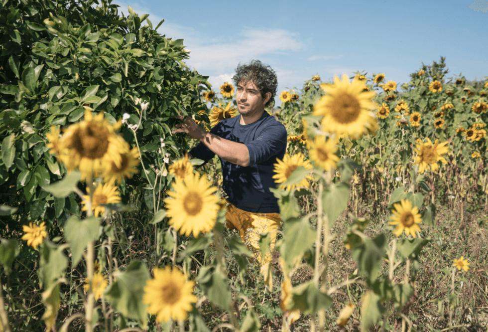 Testa livet på italienska landsbygden – och få betalt