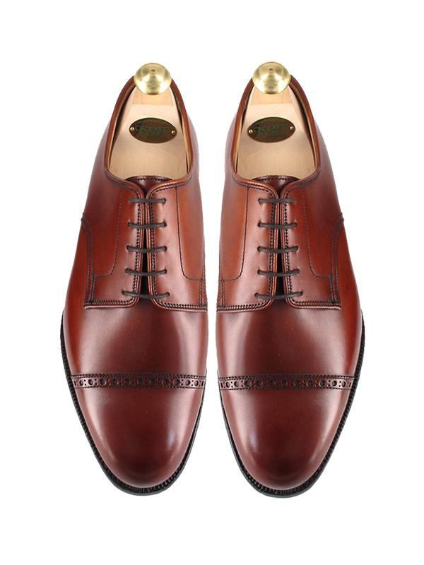 10 x Eleganta Derbys